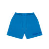 Origin Shorts (BLUE)