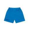 Origin Shorts (BLUE)