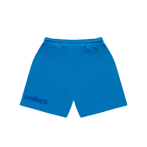 Origin Shorts (BLUE)